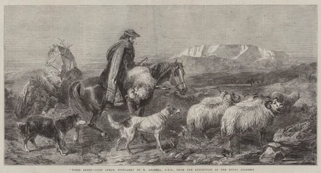 Vermoeide Schapen, Glen Spean, Schotland, uit de Tentoonstelling van de Koninklijke Academie